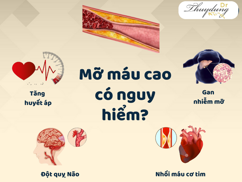 Mỡ Máu Nguy Hiểm Như Thế Nào