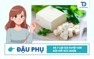 Đậu phụ và 7 lợi ích tuyệt vời đối với sức khỏe