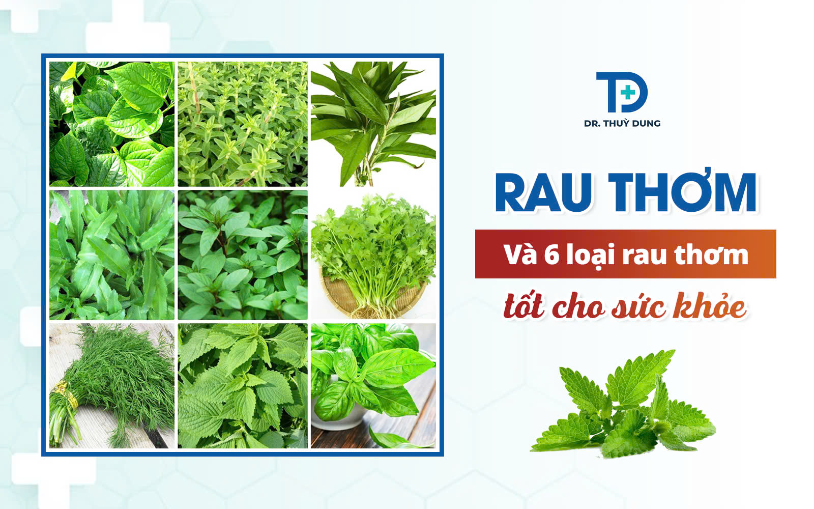 Rau thơm và 6 loại rau thơm tốt cho sức khỏe - Dr Thùy Dung