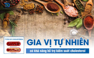 Gia vị thiên nhiên có khả năng hỗ trợ kiểm soát cholesterol