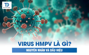 Virus HMPV Là Gì? Nguyên Nhân Và Triệu Chứng