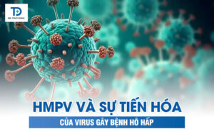 Virus HMPV Và Sự Tiến Hóa Của Virus Gây Bệnh Hô Hấp