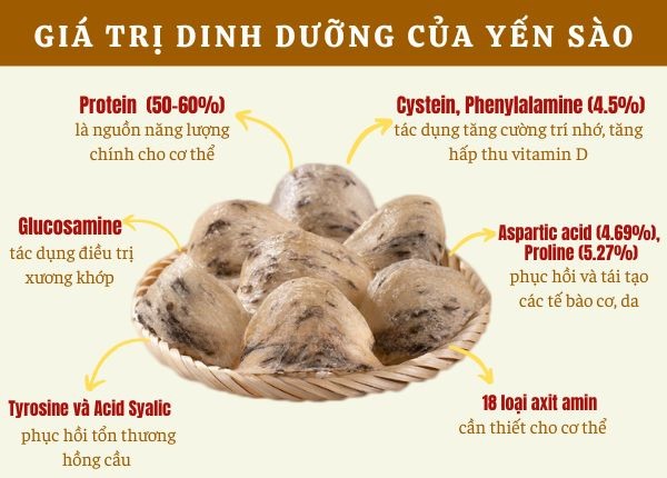 Giá trị dinh dưỡng của Yến sào