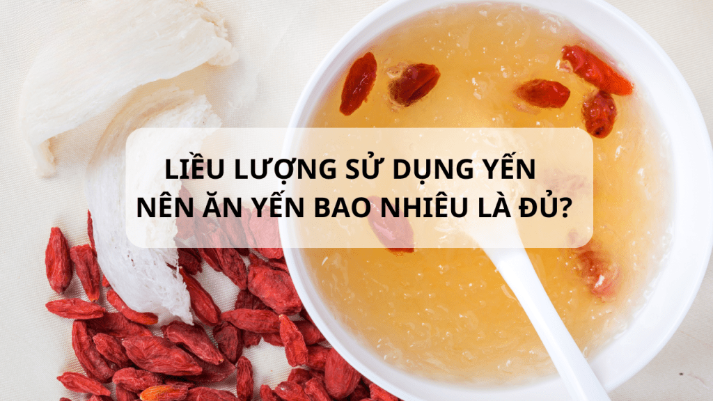 Việc tiêu thụ yến đúng liều lượng giúp cơ thể hấp thu tốt hơn