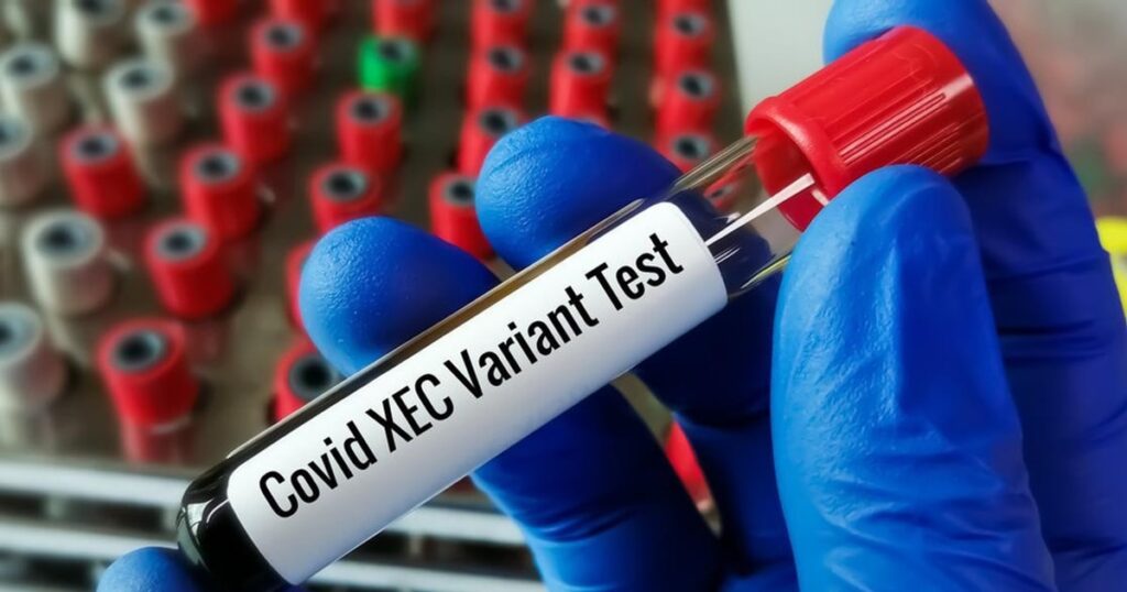 Biến thể XEC - Biến thể mới của covid-19