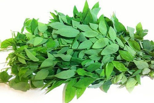 Rau ngót còn là “kho tàng” dinh dưỡng tự nhiên