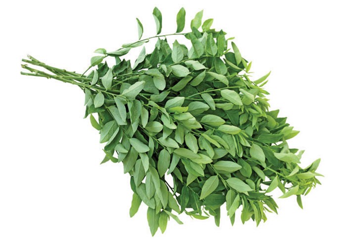 Ăn nhiều rau ngót có thể gây ra một số tác dụng phụ ngoài ý muốn