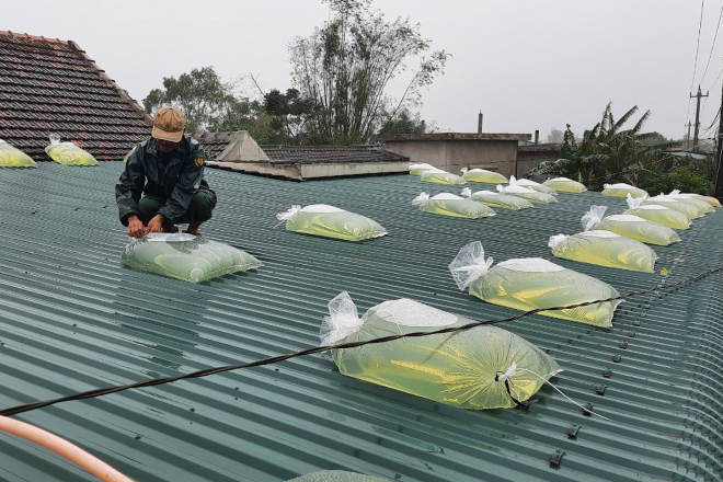 Chúng ta hãy chuẩn bị tốt nhất có thể để ứng phó với cơn bão số 3